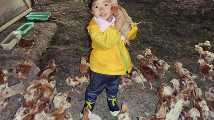 稚内から！宗谷の鮭と利尻昆布を食べた鶏の卵を全国へ届けたい！