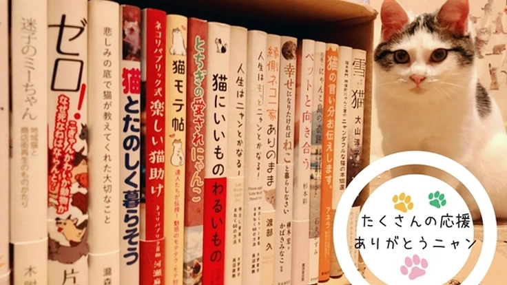 「かわいい！」から猫の問題を考える「ねこ本カフェ」を日立市へ
