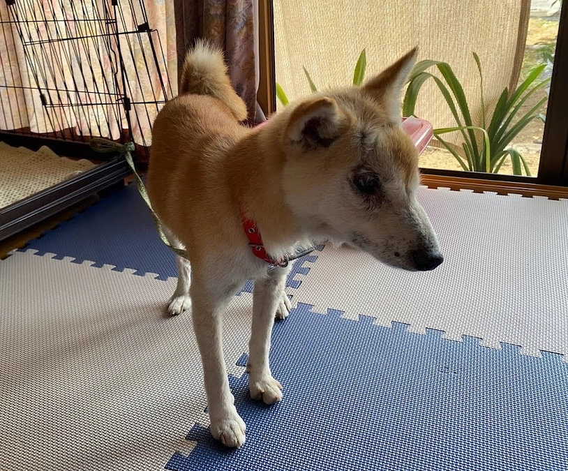 家族ができました💛