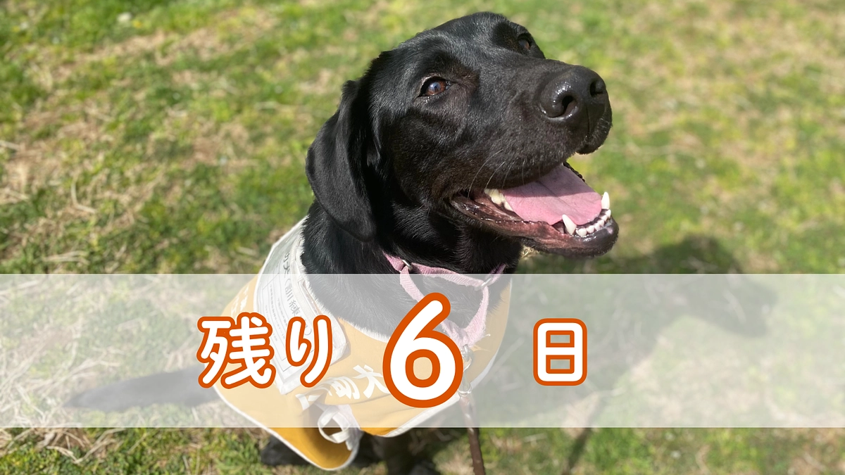 【残り6日】皆さまの応援コメントをご紹介いたします！