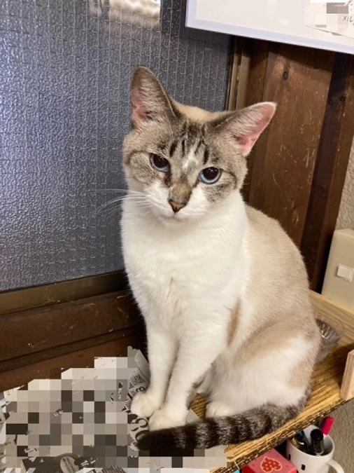 進捗状況　　おかげさまで２０％！！！