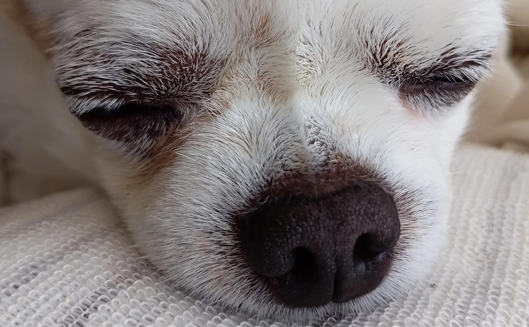 ★New★ PUNKより愛を込めて（Ｂ）