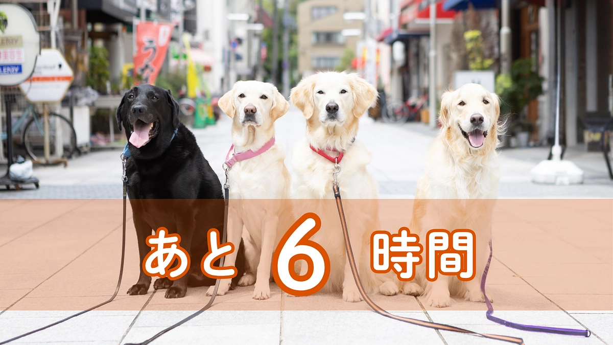 感謝の気持ちを込めて。残すところ6時間です！