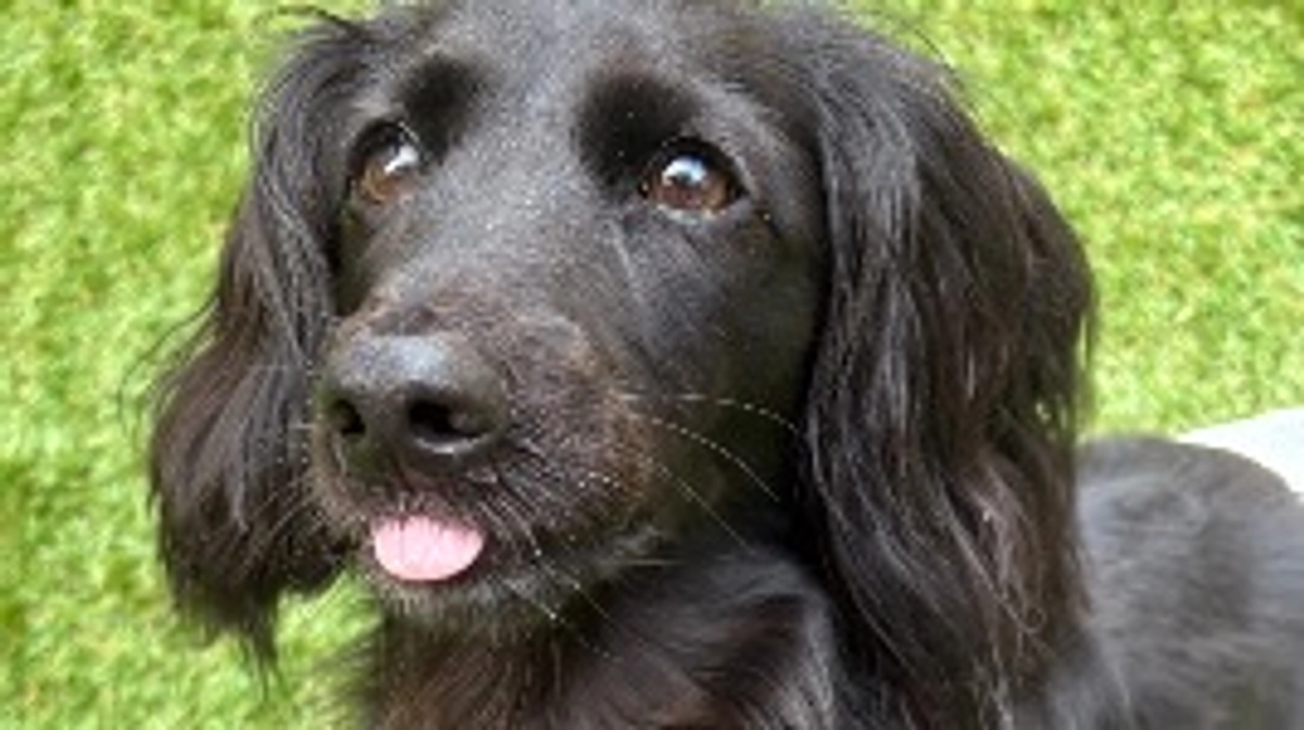 六花リハビリ頑張っています！