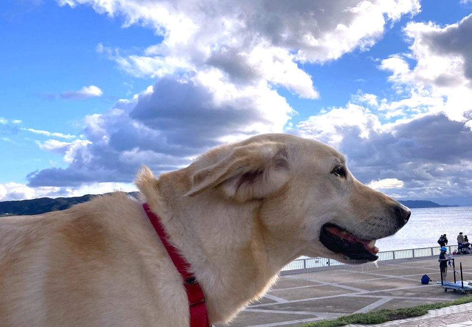 ✨✨50％達成しました✨✨