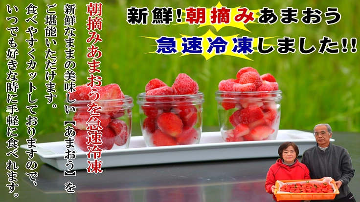 【超早割あり】今年も新鮮なままの【冷凍あまおう】をお届けします♪急