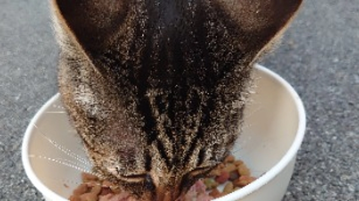 4月21日からの収支報告その1