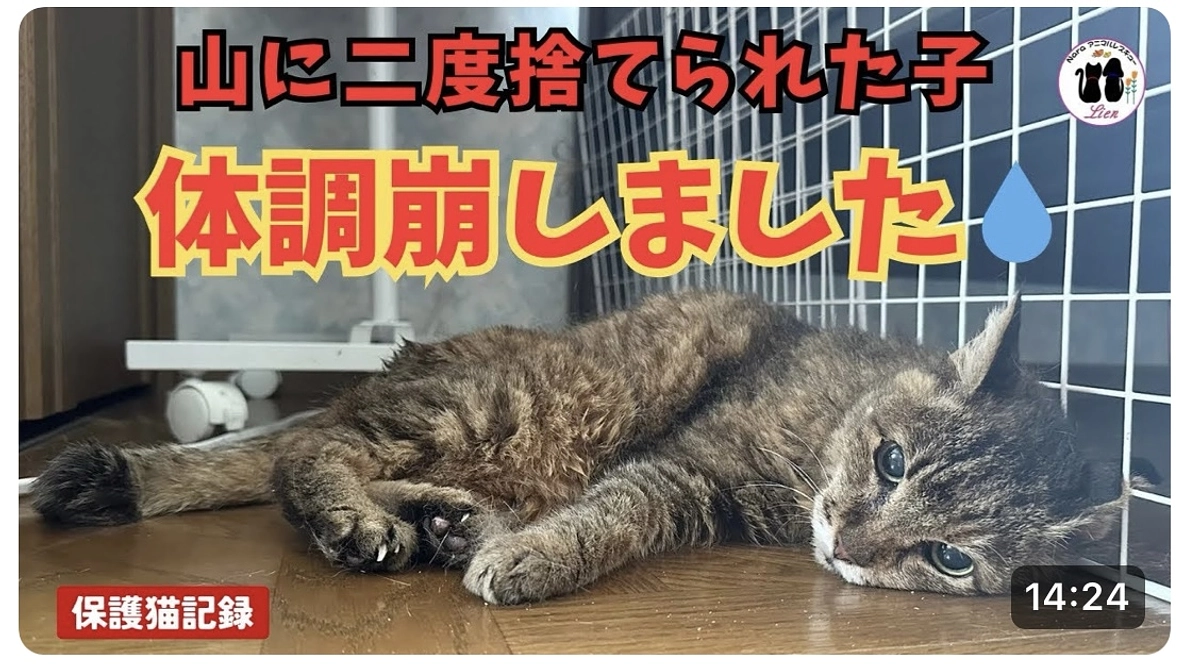 笑ちゃん体調崩しました!!