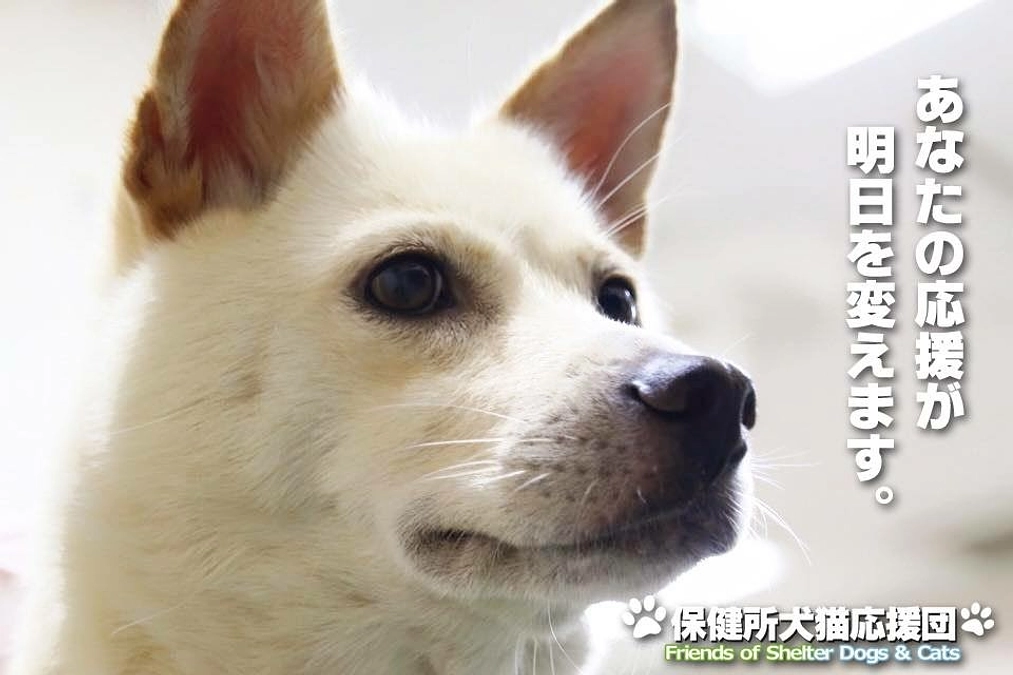 「お前には世話になったねぇ、私が死んだら、ちゃんと生きて、優しい人のところにもらわれて、幸せにな」