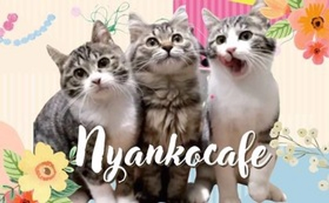 にゃんこカフェ応援(1)