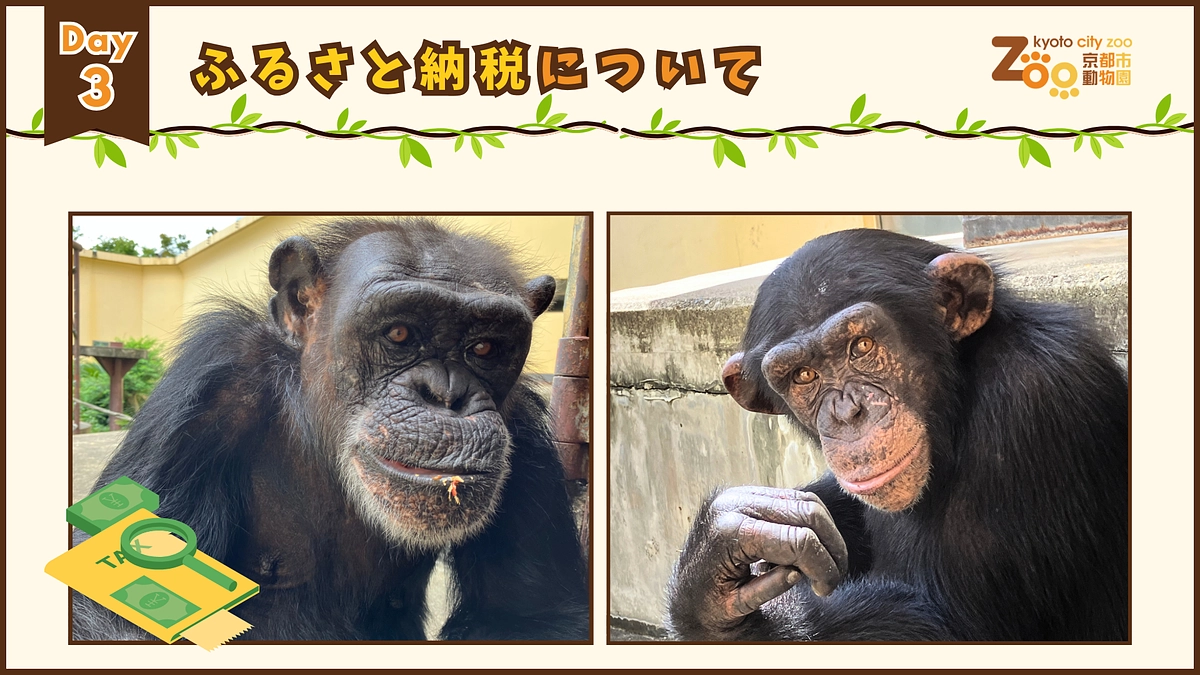 【クラファンWEEK｜Day3】ふるさと納税型クラウドファンディングについて