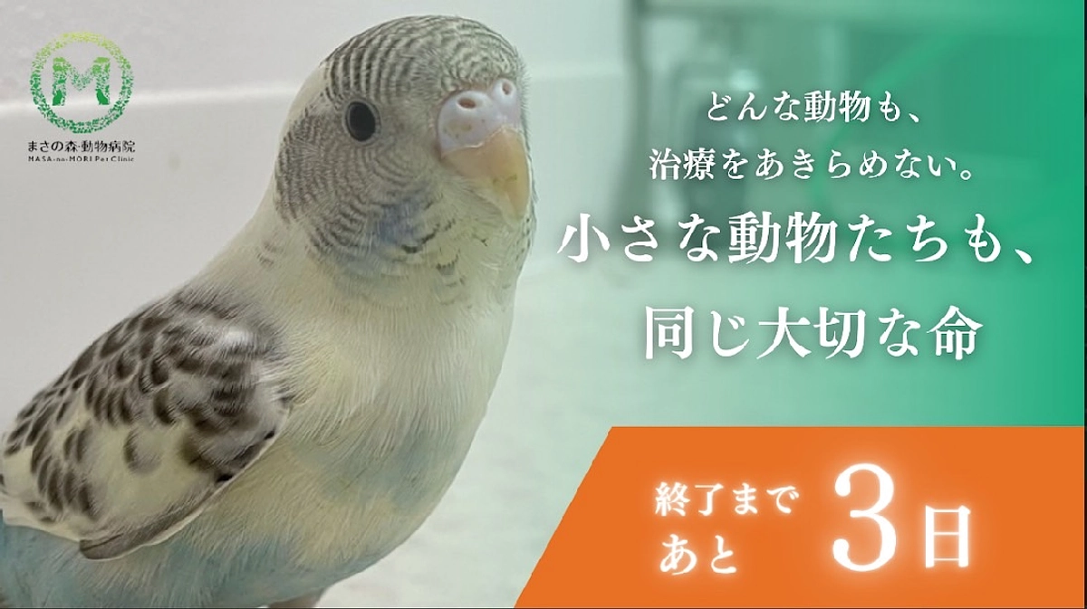 【ラストスパート】520万円突破！より多くの命を救うためにこれからも挑戦していきます！【あと3日】
