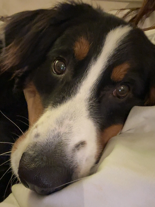 2週間も続く下痢…