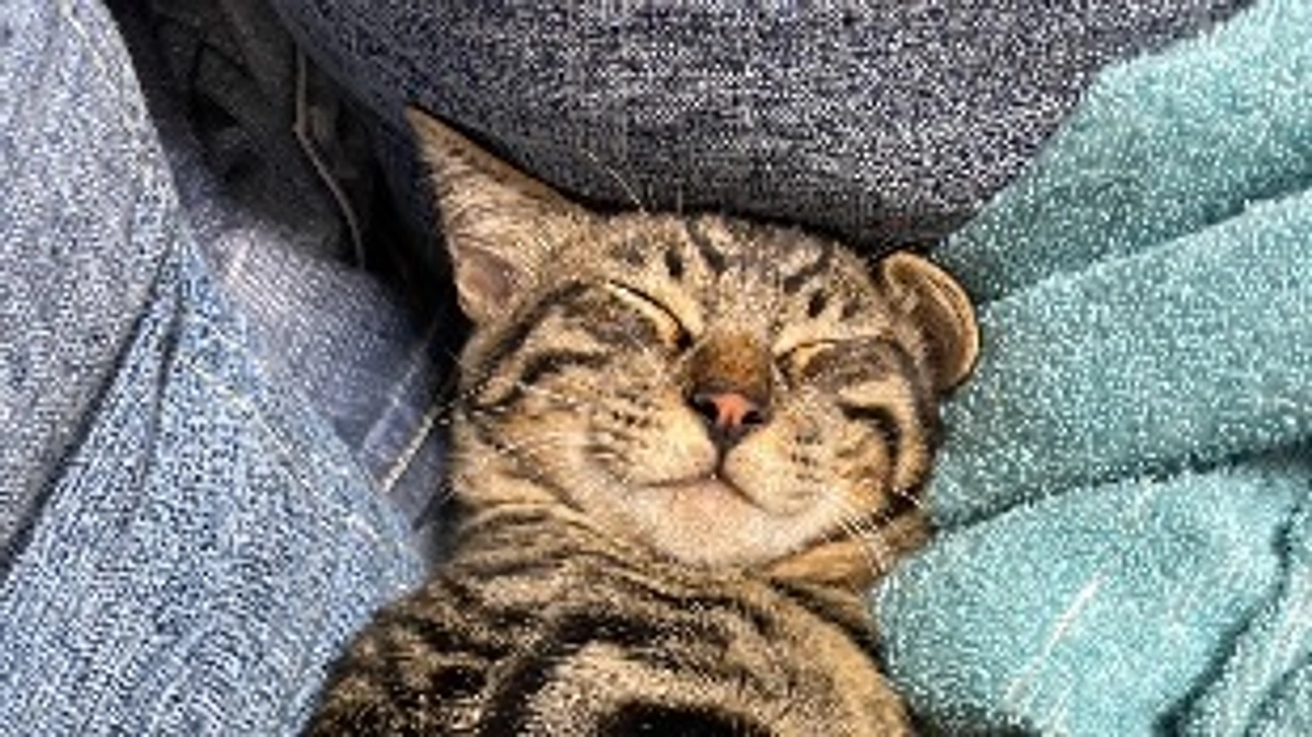 現状報告⑤スヤスヤ…💤