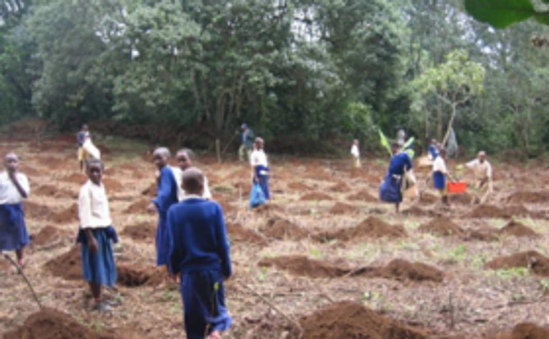 完成した「エデンの森」ステッカーと植林地の経過写真をお届けします!