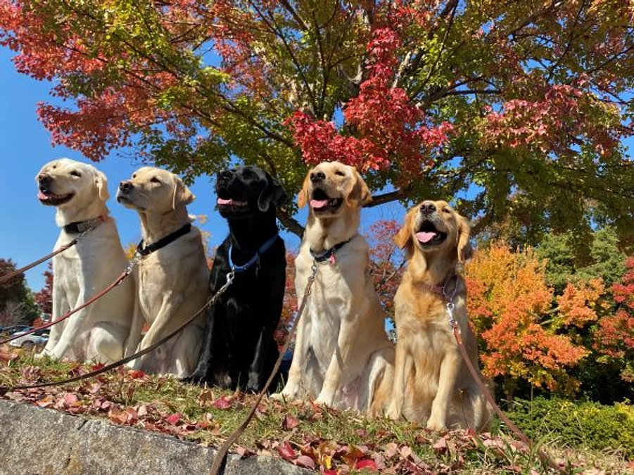 2026年度研修生募集　最終選考日程決定！