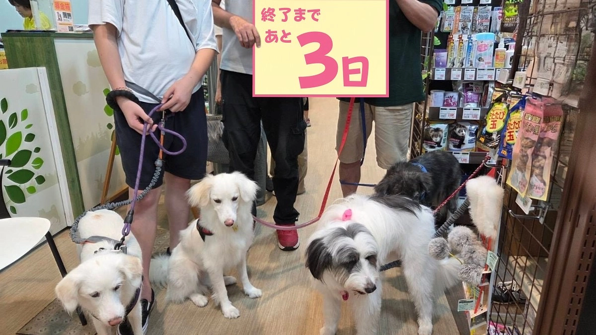 壁と床と扉などの修繕箇所について