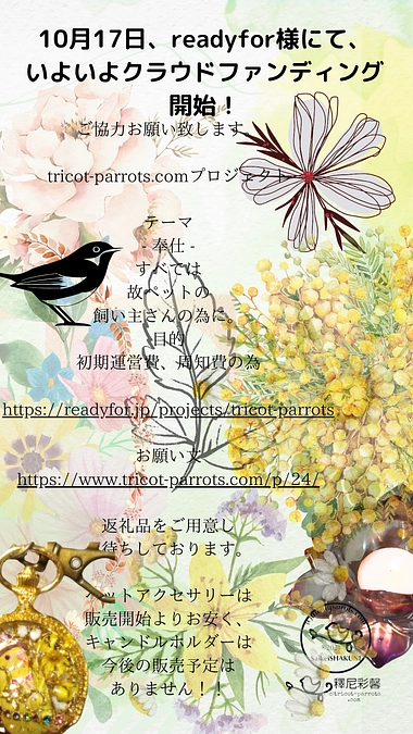 10月17日　1日目　遂に開始！