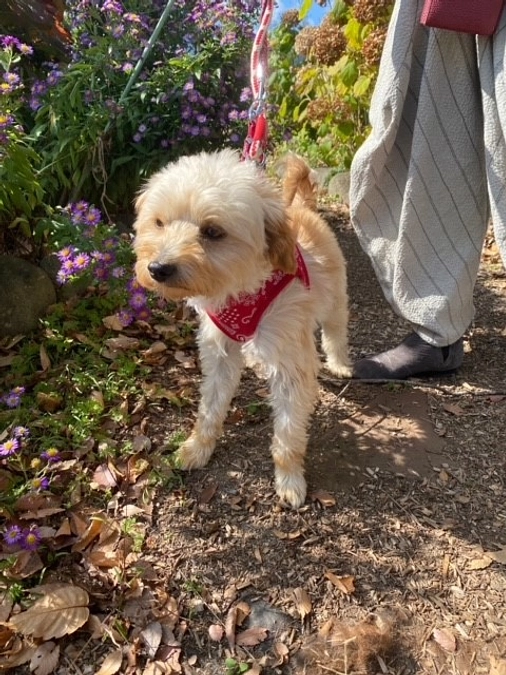 【お知らせ】ブース出展と卒業式を行います！