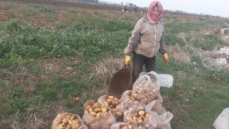 シリア内戦から10年。農家の人たちの復興への一歩を支えたい！