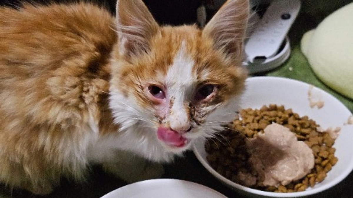 新メンバー！甘えん坊の男の子(^^)