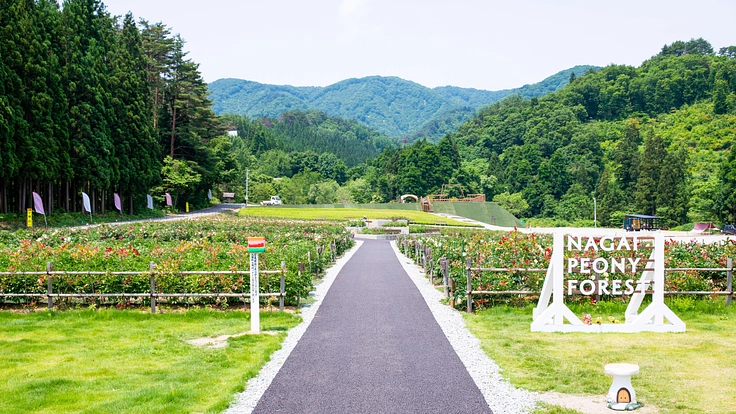 10代の夢を「ピオニーの森」で実現するプロジェクト