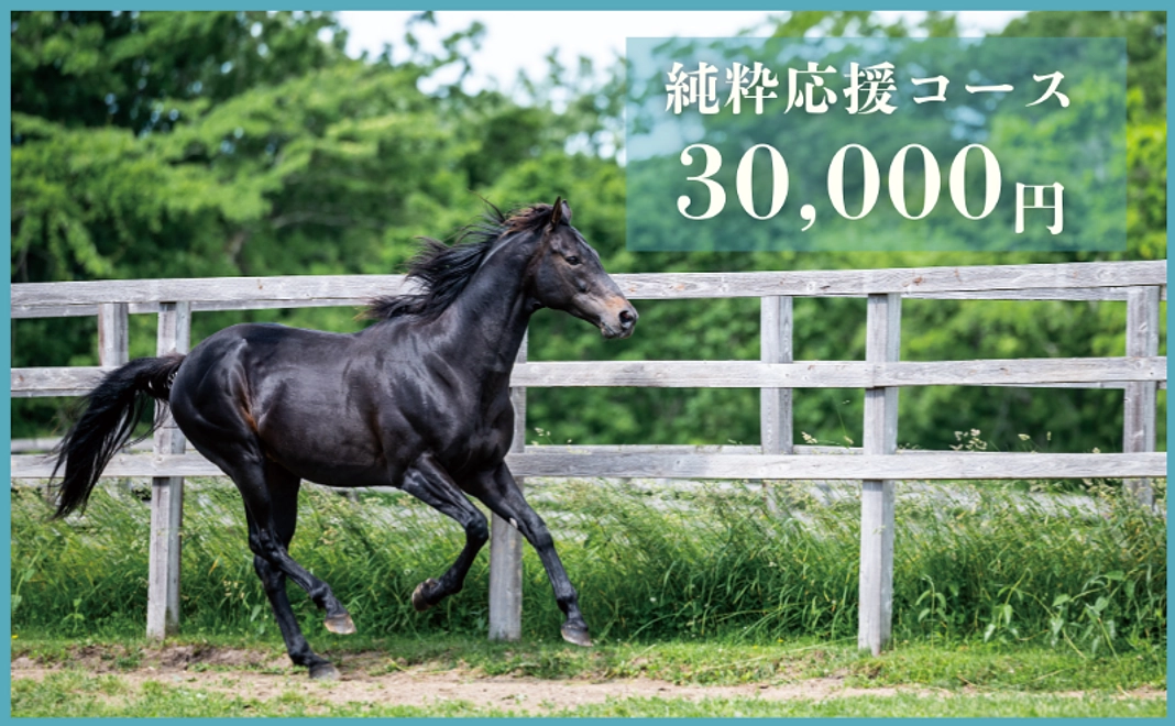 【返礼品不要な方向け】純粋応援コース｜30,000円