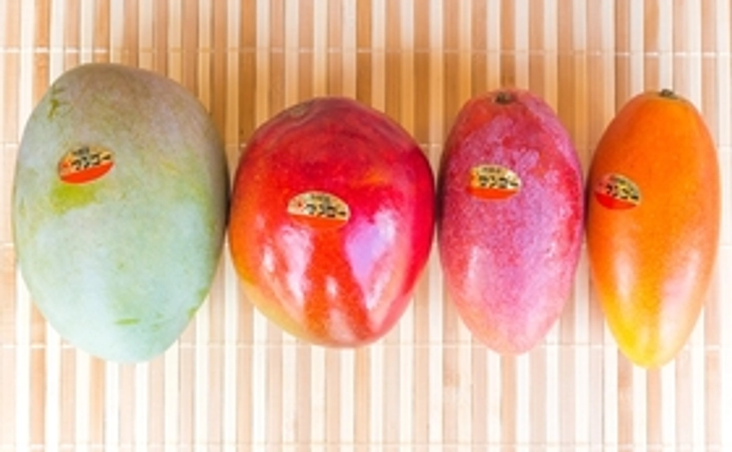 New!!【幻のマンゴーが食べられる！】マンゴー4種セット