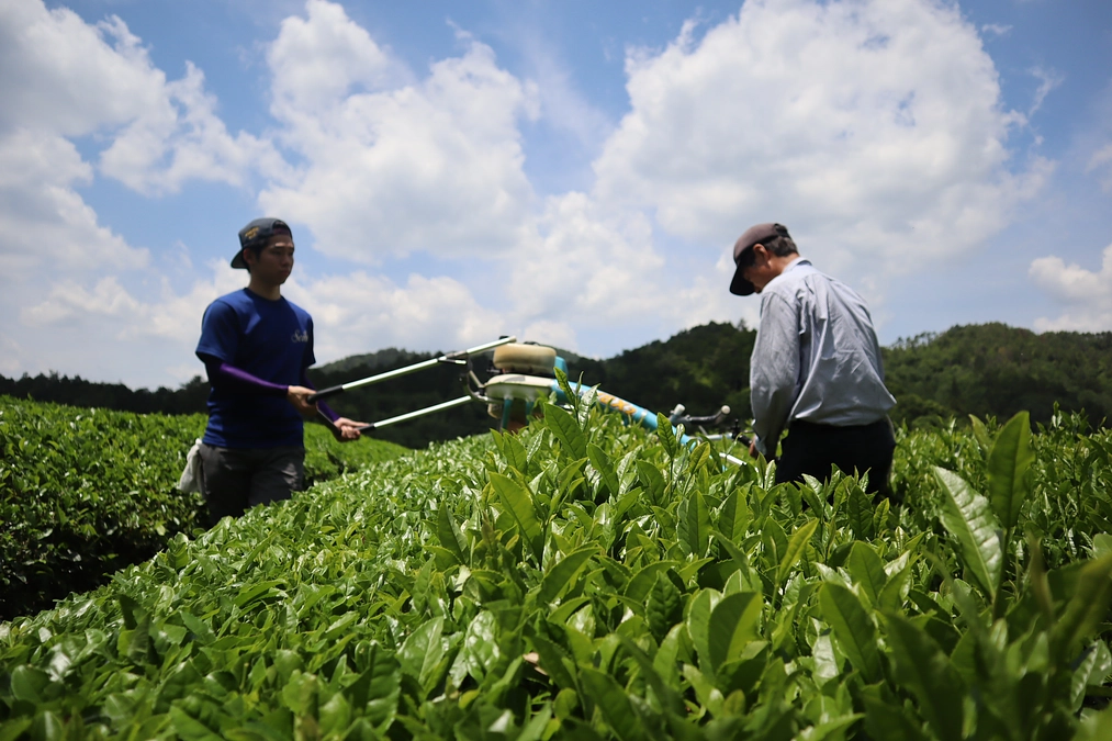 「家業を継ぐと決めたときの想い」