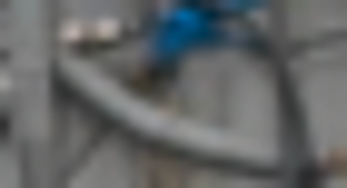 迎え入れた引退競走馬の紹介