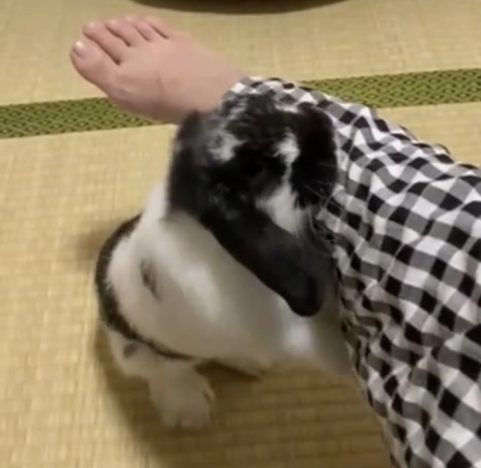 プロジェクト終了間近です！