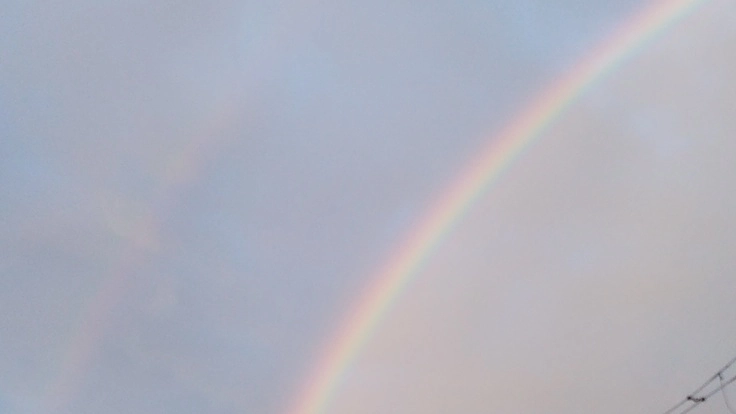 ミラクルオイルのヨモギオイルを全国へ