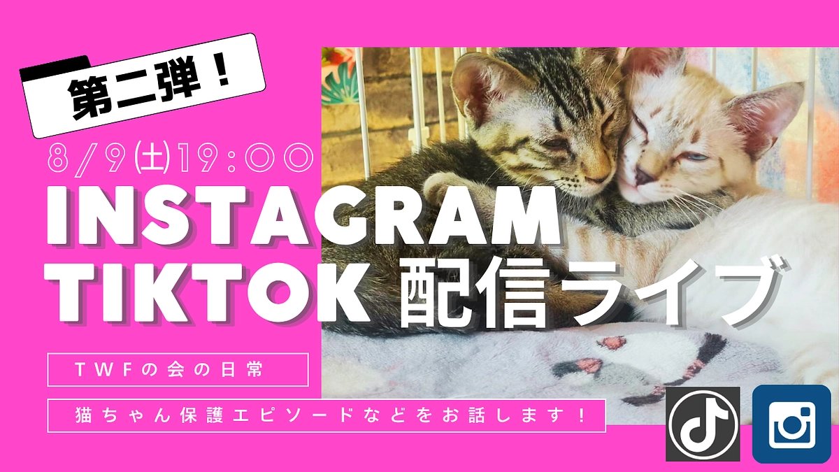 《本日19時！》Instagram＆TikTokライブ配信決定！
