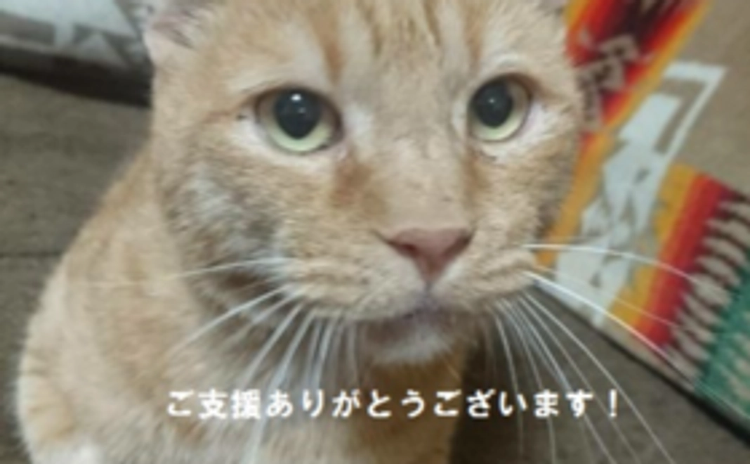 お気軽支援コース！