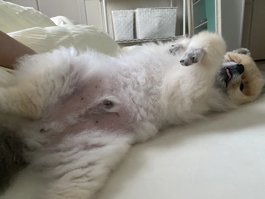 インスタライブありがとうございました。