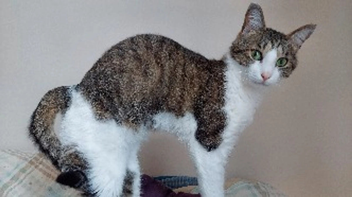 【経過観察58日目】SNSでの投稿について