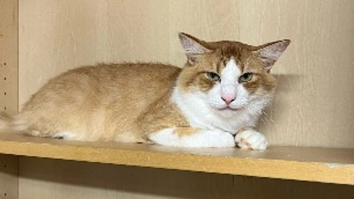 初期医療が続々と終わってます！