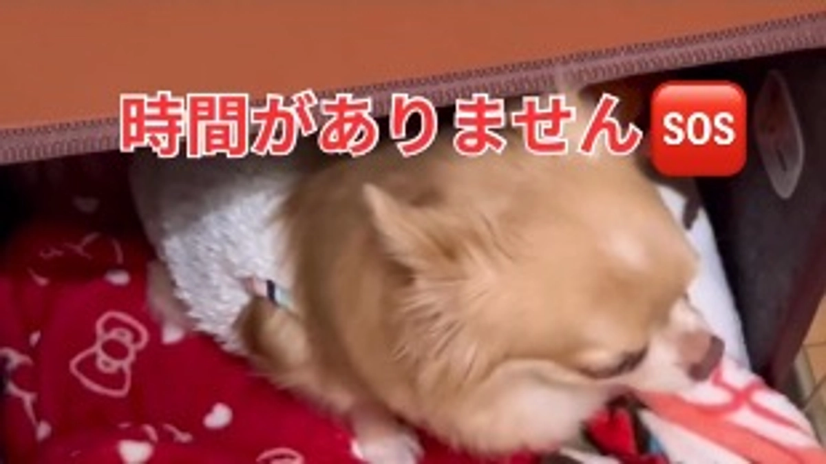 残り10日となりました💦