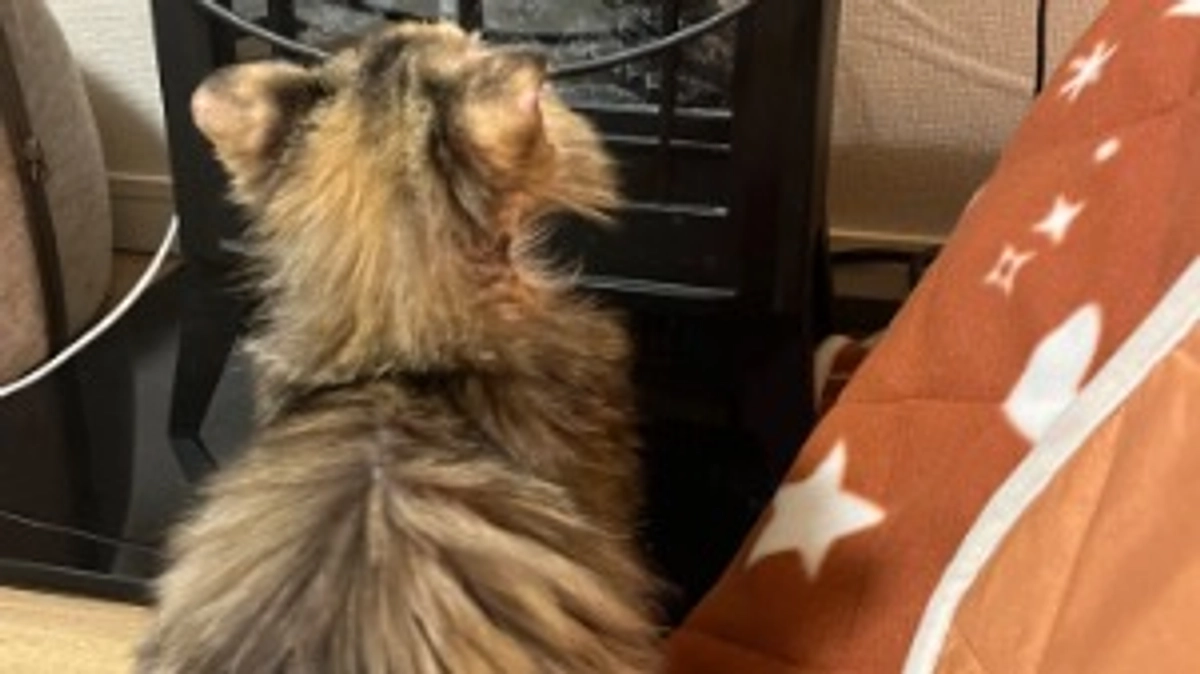 投薬終了前、最終検査結果のご報告