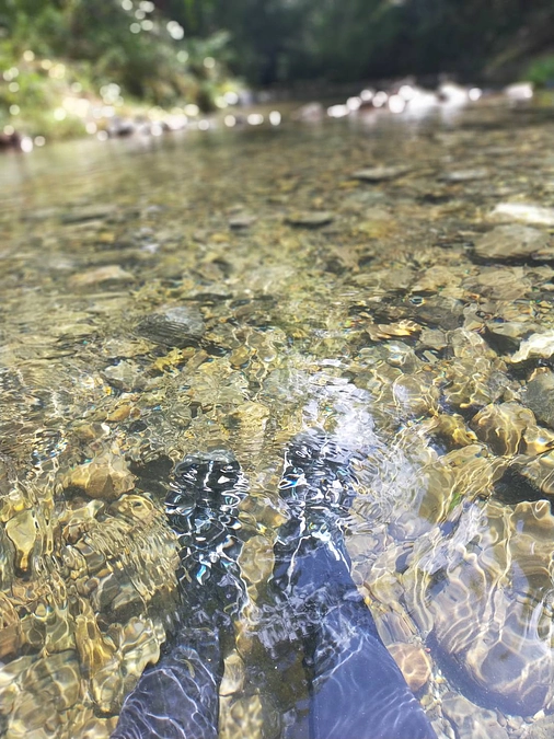 39日目！98％達成です！