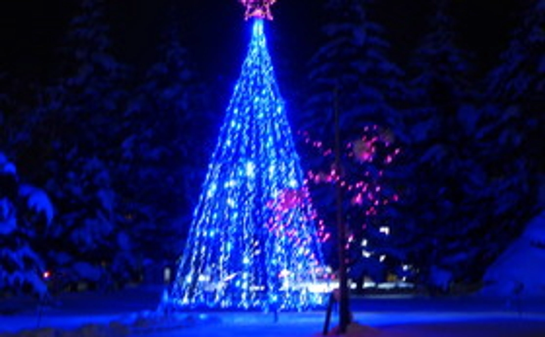 お礼状とこだわりの3Dポストカード２枚