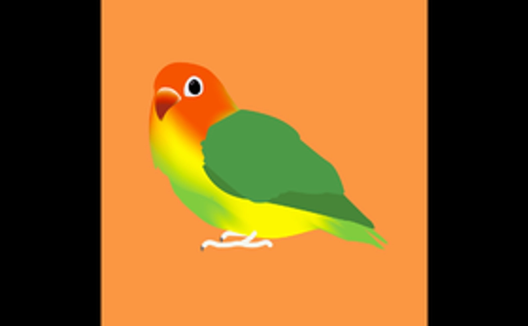 【数量限定】「とりきち横丁」2,500円クーポン