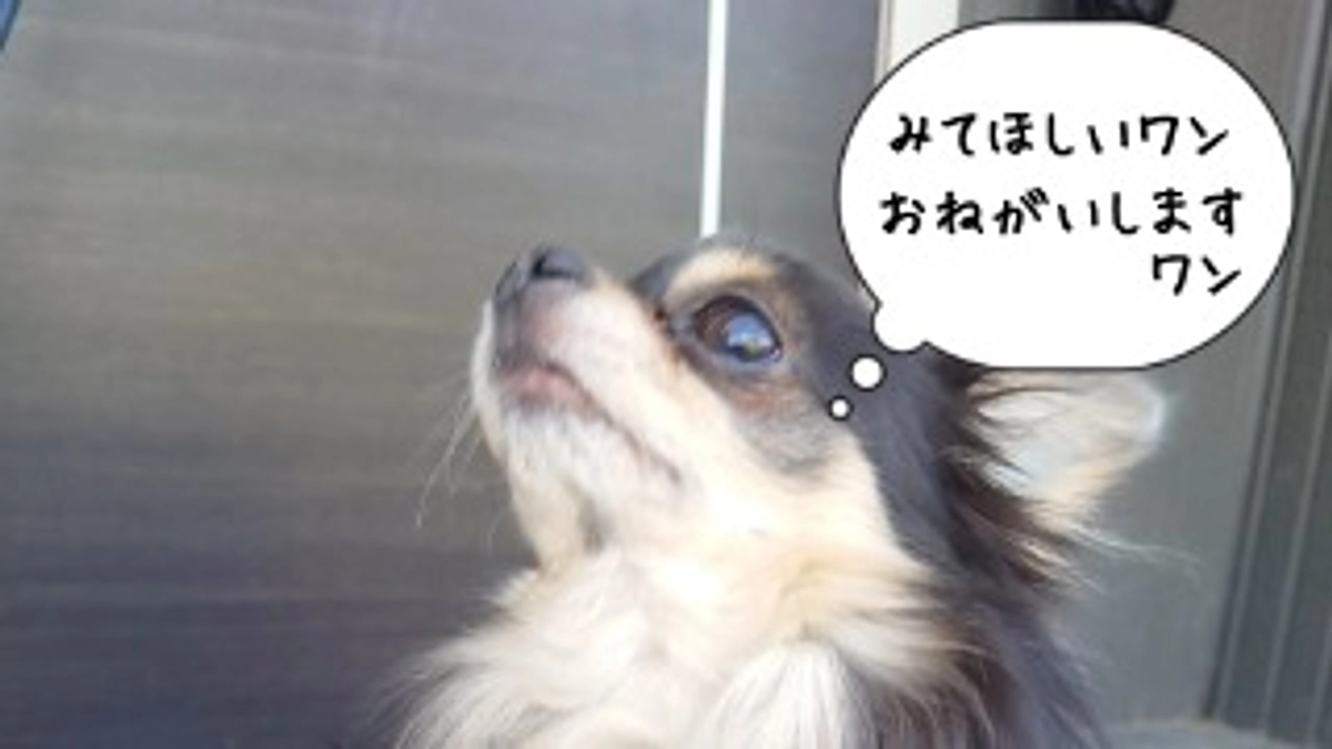 インスタライブ