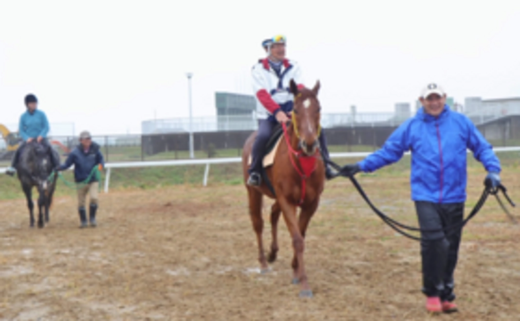 【相馬野馬追を体験】北郷騎馬会で乗馬体験