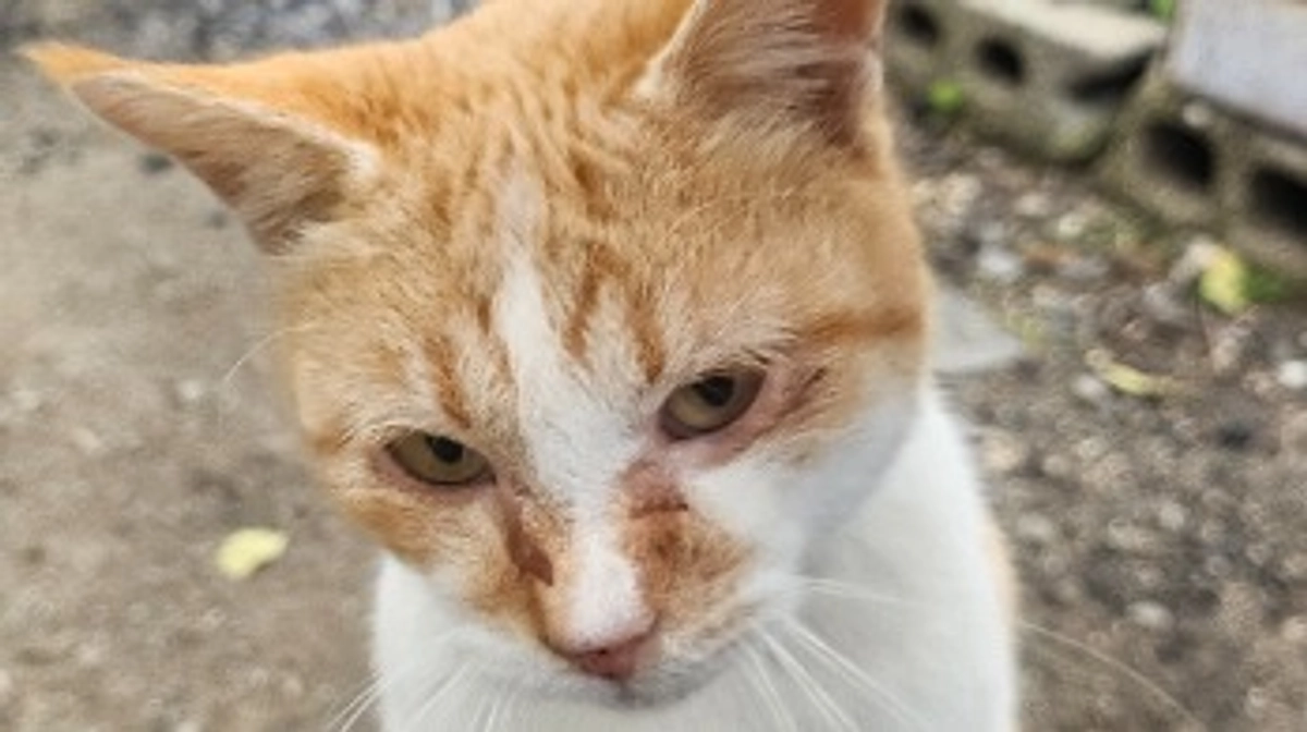 年末ですね！！