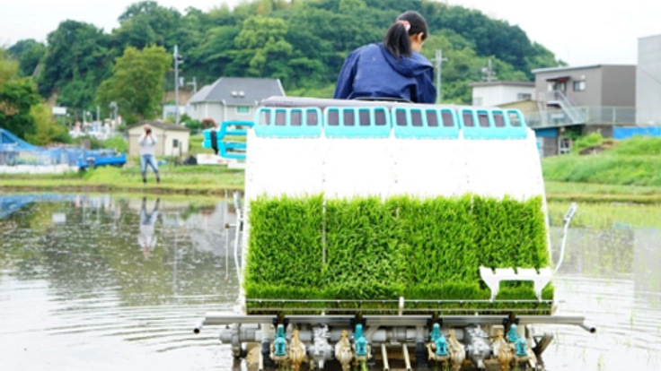 酒好き年寄り3人が堺を元気に！無農薬米で作った地酒を届けたい