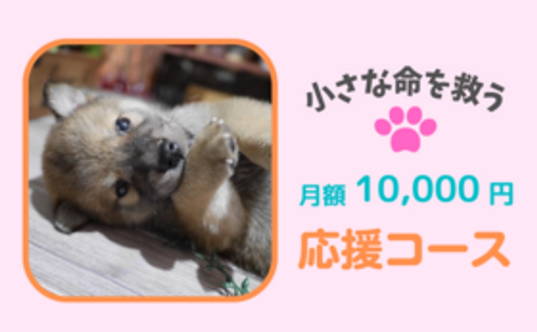 毎月応援！10,000円コース