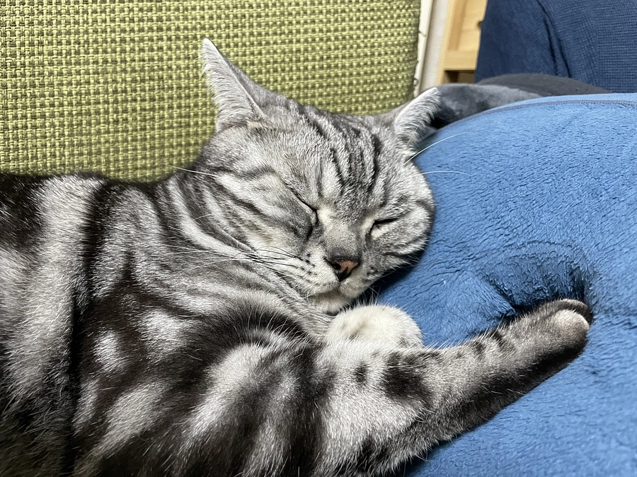 本日の銀時(投薬65日目)