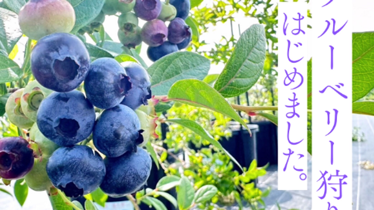 いよいよオープンです！！！！！