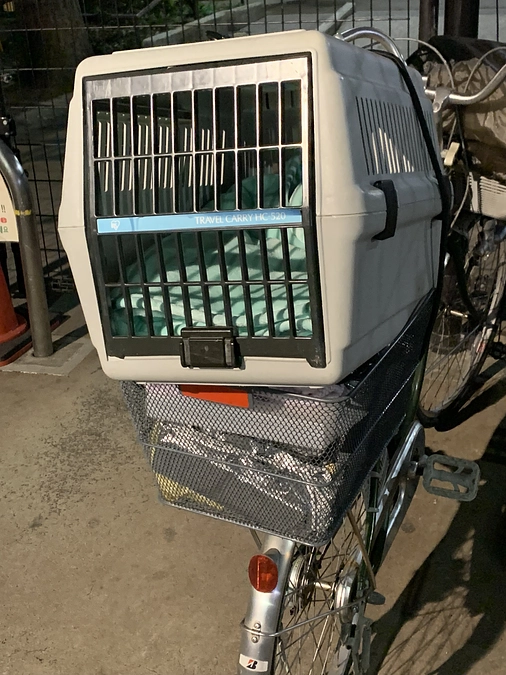 公園到着。11月27日。